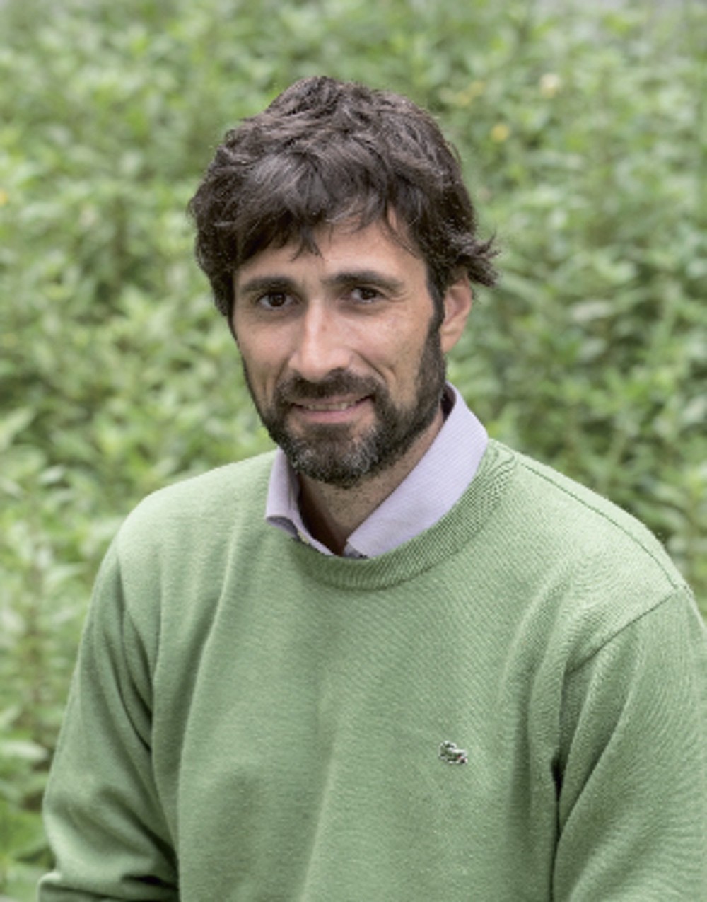Marc Verges
